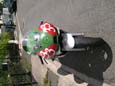 DSCN1641