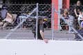 002 IMG_7365