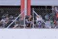 017 IMG_7383